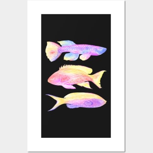 Rainbow Fishes Posters and Art